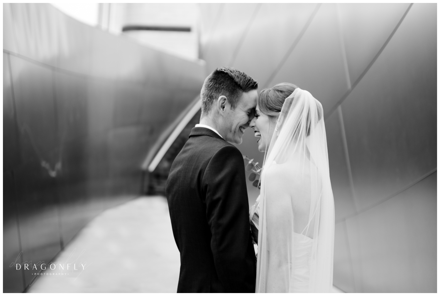 Micro Wedding Cleveland - Dragonfly Photography